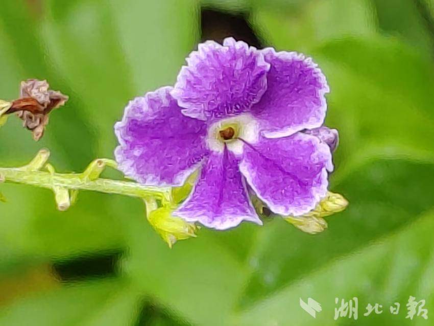 新捕鱼游戏机